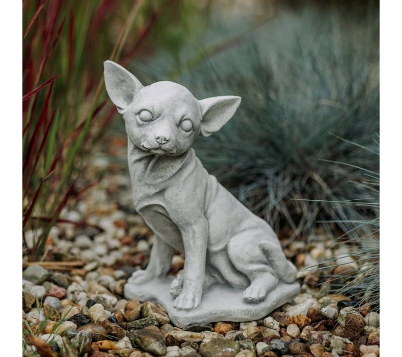 gartendekoparadies.de Gartenfigur Niedlicher Chihuahua Hund, H. 31 cm, 6 kg, Frostsicher gartendekoparadies.de Gartenfigur Niedlicher Chihuahua Hund, H. 31 cm, 6 kg, Frostsicher von gartendekoparadies.de