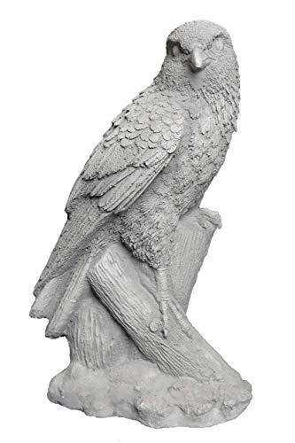 gartendekoparadies.de Massive Falken-Figur Falke, Steinfigur, H. 32 cm, 5 kg, Grau, frostsicher aus Steinguss für Außenbereich von gartendekoparadies.de
