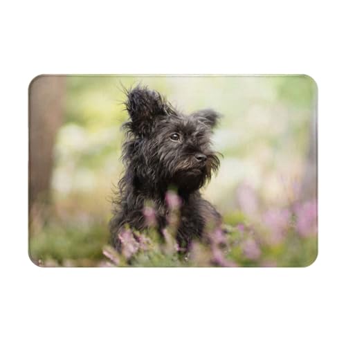 gawuoab Affenpinscher Rasen Schwarze Hunde Monkey Terrier, 24"x16" rutschfeste waschbare Fußmatte für den Innenbereich, Fußmatte für die Vordertür, Badezimmerteppiche von gawuoab