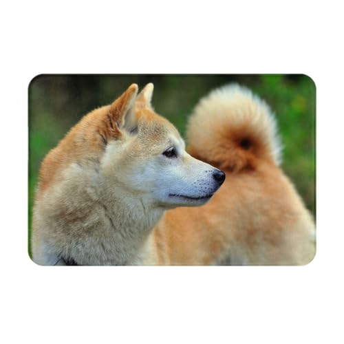 gawuoab Akita Inu Bokeh Haustiere Hunde Akita Inu, 24"x16" rutschfeste waschbare Fußmatte für den Innenbereich, Fußmatte für die Vordertür, Badezimmerteppiche von gawuoab