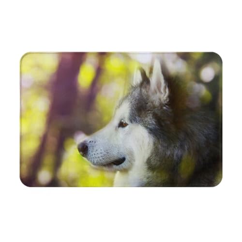gawuoab Alaskan Malamute Bokeh Haustiere Hunde Niedlich, 24"x16" rutschfeste waschbare Fußmatte für den Innenbereich, Fußmatte für die Vordertür, Badezimmerteppiche von gawuoab