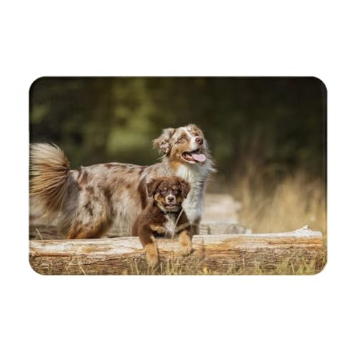 gawuoab Australian Shepherd Dogs Aussie Brown Dogs, 24"x16" rutschfeste, waschbare Fußmatte für den Innenbereich, Fußmatte für die Vordertür, Badezimmerteppiche von gawuoab
