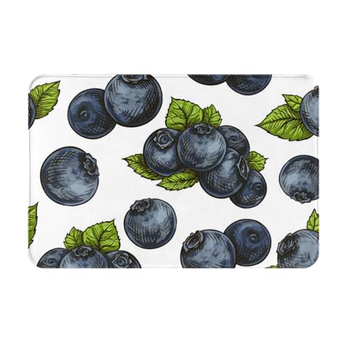 gawuoab Blaubeere (2), 24"x16" rutschfeste waschbare Fußmatte für den Innenbereich, Fußmatte für die Vordertür, Badezimmerteppiche von gawuoab