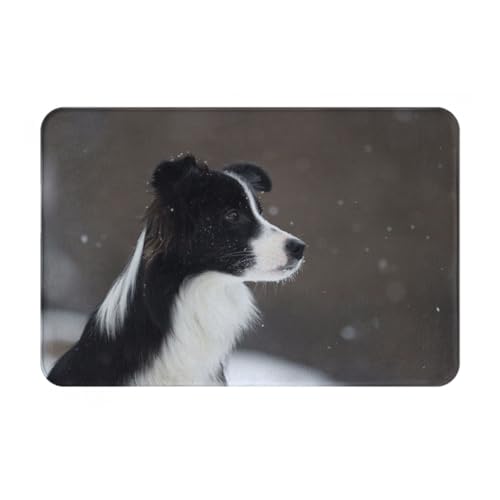 gawuoab Border Collie Hund gefleckt Schnee, 24"x16" rutschfeste waschbare Fußmatte für den Innenbereich, Fußmatte für die Vordertür, Badezimmerteppiche von gawuoab