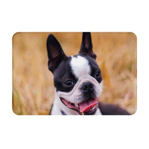 gawuoab Boston Terrier Bokeh Hunde Haustiere Boston Terrier, 24"x16" rutschfeste waschbare Fußmatte für den Innenbereich, Fußmatte für die Vordertür, Badezimmerteppiche von gawuoab