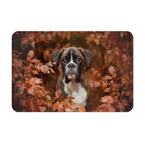 gawuoab Boxer Dogs Autumn, 24"x16" rutschfeste, waschbare Fußmatte für den Innenbereich, Fußmatte für die Vordertür, Badezimmerteppiche von gawuoab