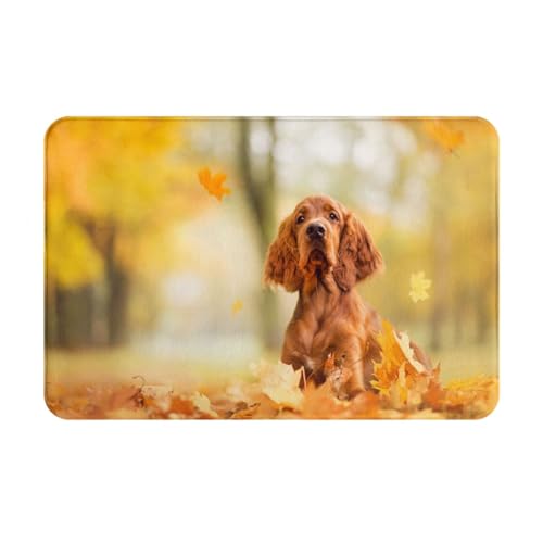 gawuoab Cocker Spaniel Autumn Park Brown Spaniel Hunde, 24"x16" rutschfeste waschbare Fußmatte für den Innenbereich, Fußmatte für die Vordertür, Badezimmerteppiche von gawuoab