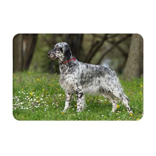 gawuoab English Setter Rasen Haustiere Hunde English Setter, 24"x16" rutschfeste waschbare Fußmatte für den Innenbereich, Fußmatte für die Vordertür, Badezimmerteppiche von gawuoab