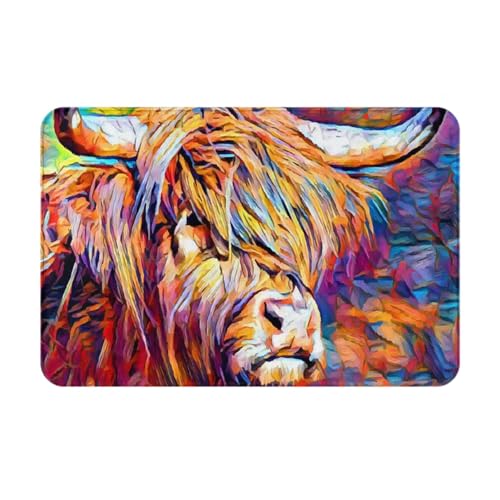 gawuoab Highland Cow Printed, 24"x16"Anti-Rutsch-Waschbare Fußmatte für den Innenbereich, Fußmatte für die Vordertür, Badezimmerteppiche von gawuoab