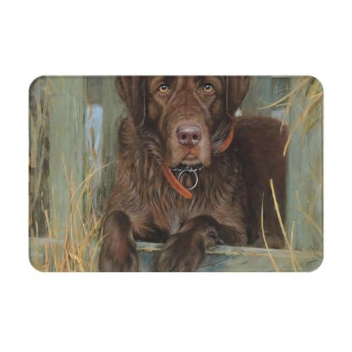gawuoab Labrador Dog Lab Chocolate, 24"x16" rutschfeste, waschbare Fußmatte für den Innenbereich, Fußmatte für die Vordertür, Badezimmerteppiche von gawuoab