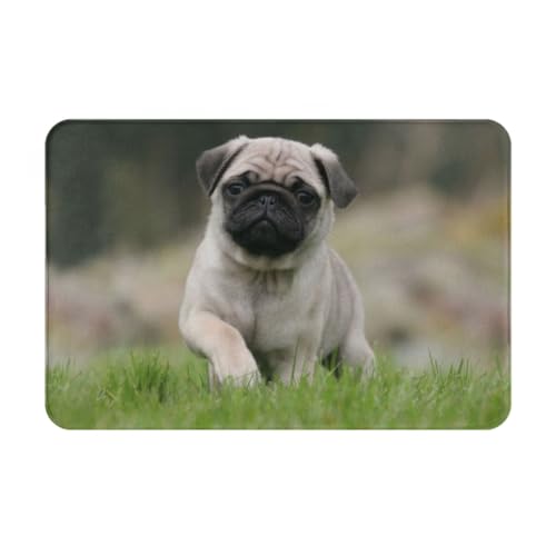 gawuoab Mops Bokeh Welpen Hunde Rasen Haustiere Mops, 24"x16" rutschfeste waschbare Fußmatte für den Innenbereich, Fußmatte für die Vordertür, Badezimmerteppiche von gawuoab