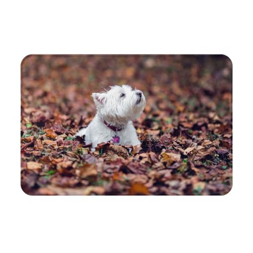 gawuoab Westie Bokeh West Highland White Terrier Hunde, 24"x16" rutschfeste waschbare Fußmatte für den Innenbereich, Fußmatte für die Vordertür, Badezimmerteppiche von gawuoab