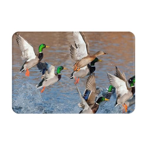 gawuoab Wild Duck, 24"x16" rutschfeste waschbare Fußmatte für den Innenbereich, Fußmatte für die Vordertür, Badezimmerteppiche von gawuoab