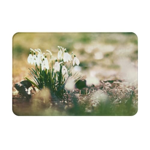 gawuoab Wild Spring Snowdrop, 24"x16" rutschfeste waschbare Fußmatte für den Innenbereich, Fußmatte für die Vordertür, Badezimmerteppiche von gawuoab