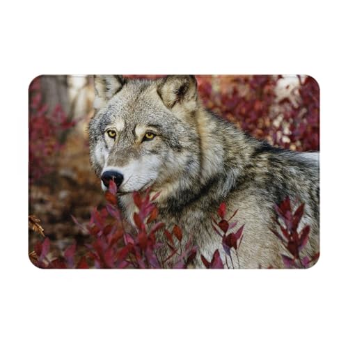 gawuoab Wolf (2), 24"x16" rutschfeste waschbare Fußmatte für den Innenbereich, Fußmatte für die Vordertür, Badezimmerteppiche von gawuoab
