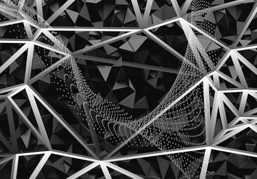 Fototapete 3d Effekt Tapete Modern Geometrisch 3D Linien Kunst Graffiti Schwarz-Weiß 300x210cm Wandbilder Vliestapete Seiden Wand Deko Wohnzimmer/Schlafzimmer Fototapete 3d Effekt Tapete Modern Geometrisch 3D Linien Kunst Graffiti Schwarz-Weiß 300x210cm Wandbilder Vliestapete Seiden Wand Deko Wohnzimmer/Schlafzimmer von gdkldfg