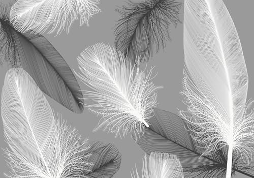 Fototapete 3d Effekt Tapete Schwarz-Weiß Federn Modern Kunst 300x240cm Wandbilder Vliestapete Seiden Wand Deko Wohnzimmer/Schlafzimmer Fototapete 3d Effekt Tapete Schwarz-Weiß Federn Modern Kunst 300x240cm Wandbilder Vliestapete Seiden Wand Deko Wohnzimmer/Schlafzimmer von gdkldfg