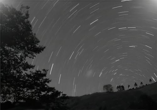 Tapete Deko 400x280cm Schwarz Wald Sternenhimmel Meteor Natur Vliestapete,Wanddeko Wohnzimmer/Schlafzimmer,Fototapete 3d Effekt,Wandbilder von gdkldfg