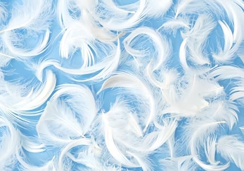 Tapete Deko 400x280cm Weiß Federn Blau Hintergrund Vliestapete,Wanddeko Wohnzimmer/Schlafzimmer,Fototapete 3d Effekt,Wandbilder von gdkldfg