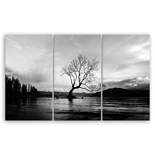 Bilderdepot24 hochwertiges Leinwandbild XXL - The Wanaka Tree - Neuseeland - schwarz weiß - 165 x 100 cm mehrteilig (3 teilig) von ge Bildet