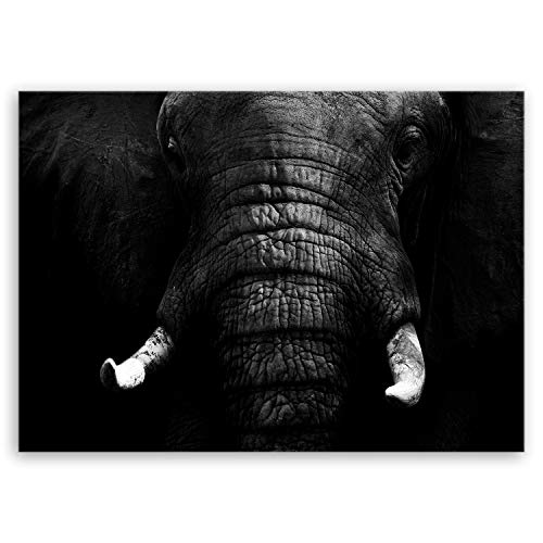 ge Bildet Bild auf Leinwand | Elefant - schwarz weiß in 100x70 cm als Wandbild | Wand-deko Dekoration Wohnung modern Bilder | 1086 von ge Bildet