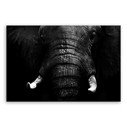 ge Bildet Bild auf Leinwand | Elefant - schwarz weiß in 120x80 cm als Wandbild XXL | Wand-deko Dekoration Wohnung modern Bilder | 1086 von ge Bildet