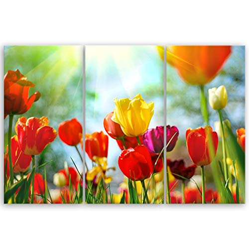 ge Bildet Bild auf Leinwand | Frühlings Tulpen in 120x80 cm mehrteilig als Wandbild XXL | Wand-deko Dekoration Wohnung modern Bilder | 1311 von ge Bildet