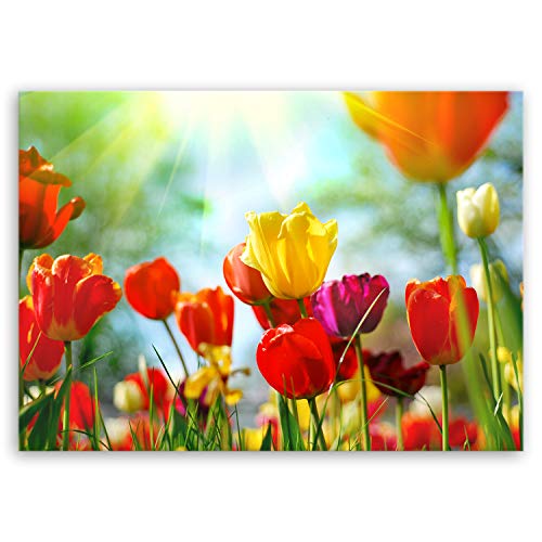 ge Bildet Bild auf Leinwand | Frühlings Tulpen in 70x50 cm als Wandbild | Wand-deko Dekoration Wohnung modern Bilder | 1311 von ge Bildet