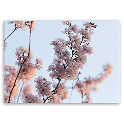 ge Bildet Bild auf Leinwand | Japanische Kirschblüte II in 70x50 cm als Wandbild | Wand-deko Dekoration Wohnung modern Bilder | 2281 von ge Bildet