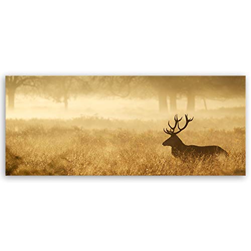 ge Bildet Bild auf Leinwand | Landschaftsbilder - Hirsch in der Natur N in 100x40 cm als Panorama Wandbild | Wand-deko Dekoration Wohnung modern Bilder | 2212 von ge Bildet