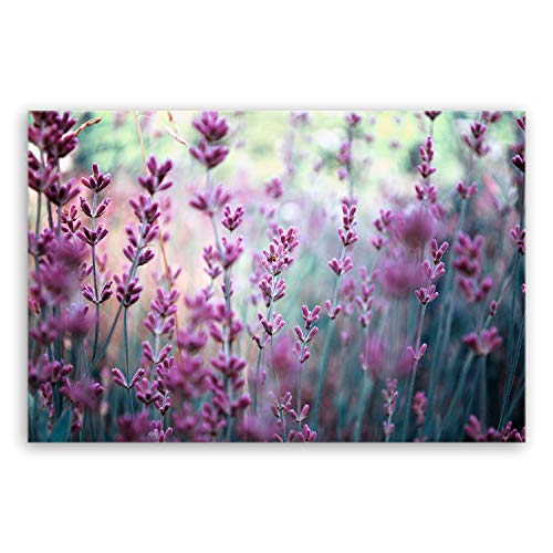 ge Bildet Bild auf Leinwand | Lavendelblüten Feld - Blumen Violett Lavendel Natur F in 120x80 cm als Wandbild XXL | Wand-deko Dekoration Wohnung modern Bilder | 2206 von ge Bildet