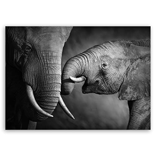 ge Bildet Bild auf Leinwand MIT Sommer RABATT Elefanten - schwarz weiß Tier Bilder - 70x50 cm einteilig - direkt vom Hersteller aus Deutschland von ge Bildet