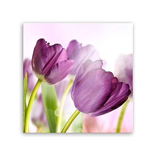 ge Bildet Bild auf Leinwand | Pflanzen Bilder - Tulpe - Blumen Violett Natur in 50x50 cm als Wandbild | Wand-deko Dekoration Wohnung modern Bilder | 2207 von ge Bildet