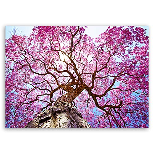 ge Bildet Bild auf Leinwand | Rosa Lapacho Baum in Pocone - Brasilien - Natur Baum Pink Lila B in 100x70 cm als Wandbild | Wand-deko Dekoration Wohnung modern Bilder | 2206 von ge Bildet