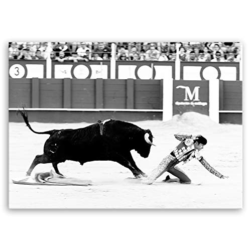 ge Bildet Bild auf Leinwand | Taurus wins - Torero in 70x50 cm als Wandbild | Wand-deko Dekoration Wohnung modern Bilder | 3017B von ge Bildet