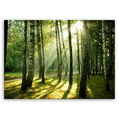 ge Bildet Bild auf Leinwand | Wald - natur blumen Wald Sonnenschein grün J in 70x50 cm als Wandbild | Wand-deko Dekoration Wohnung modern Bilder | 2206 von ge Bildet