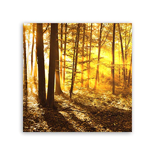ge Bildet Bild auf Leinwand | beautiful morning in the forest - natur blumen wald gelb orange I in 50x50 cm als Wandbild | Wand-deko Dekoration Wohnung modern Bilder | 2206 von ge Bildet