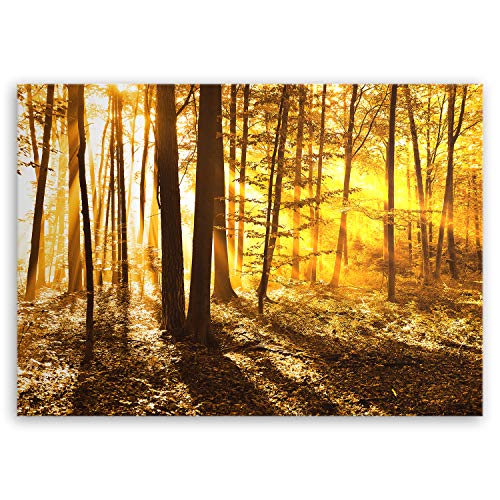ge Bildet Bild auf Leinwand | beautiful morning in the forest - natur blumen wald gelb orange in 100x70 cm als Wandbild | Wand-deko Dekoration Wohnung modern Bilder | 2207 von ge Bildet