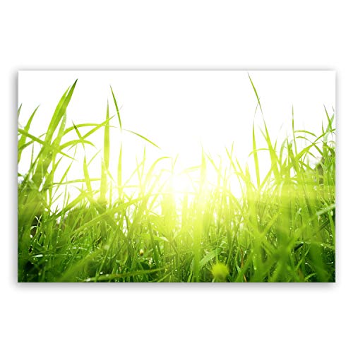 ge Bildet Bild auf Leinwand | green summer in 120x80 cm als Wandbild XXL | Wand-deko Dekoration Wohnung modern Bilder | 1288 von ge Bildet