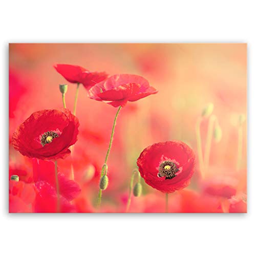 ge Bildet Bild auf Leinwand | roter Mohn in 70x50 cm als Wandbild | Wand-deko Dekoration Wohnung modern Bilder | 1051 von ge Bildet