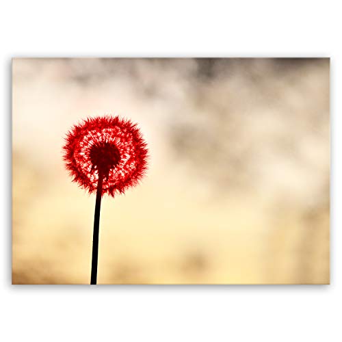 ge Bildet Bilderdepot24 hochwertiges Leinwandbild - roter Löwenzahn - 100 x 70 cm einteilig 1305 von ge Bildet
