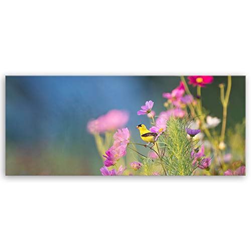 ge Bildet Bilderdepot24 hochwertiges Panorama Leinwandbild - Bird in Nature - 100 x 40 cm einteilig 3025 von ge Bildet