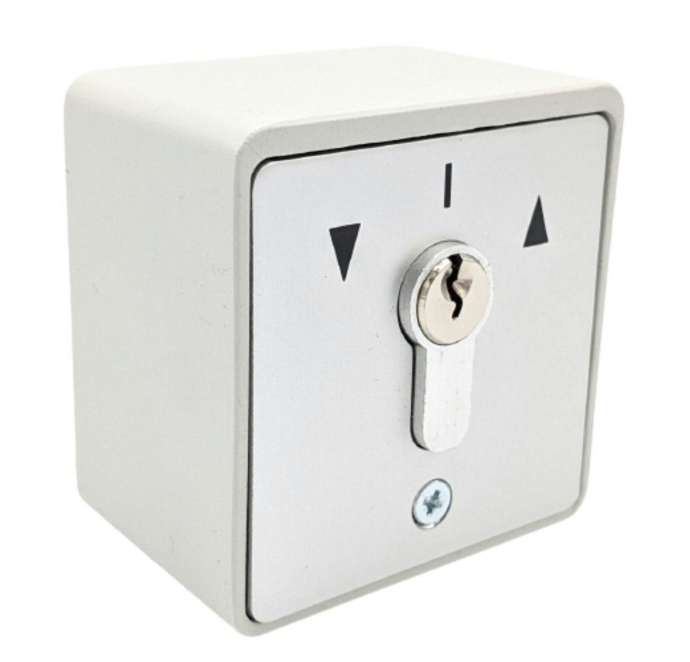 geba Schalter Aufputz Alu Schlüsselschalter Taster Garagentor Tor Antrieb IP54 (1-St), Einbruchhemmend von geba