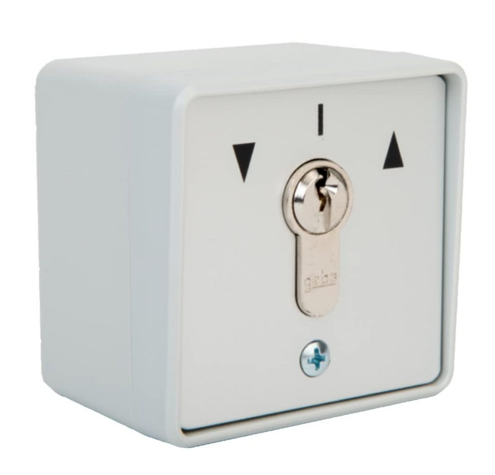 geba Schalter Schlüsselschalter zweiseitig tastend IP54 Tor Tür Garagentor (1-St), Aufputz und Unterputz Montage geeignet von geba