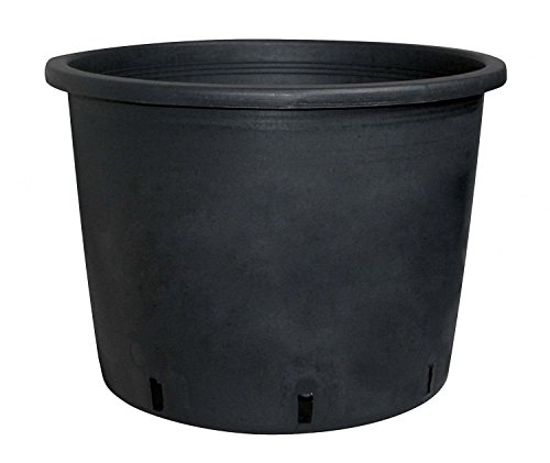 Baumcontainertopf aus Kunststoff Schwarz, Durchmesser:35 cm von zuosen