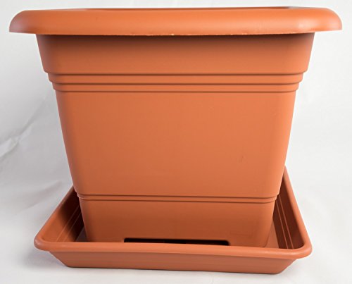 Pflanzkübel NORA 48 cm mit passendem Untersetzer NORA Terracotta von AMOVO