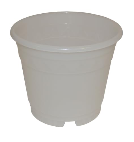 geli Thermo Plastic Orchideentopf transparent milchig, Durchmesser:16 cm geli Thermo Plastic Orchideentopf transparent milchig, Durchmesser:16 cm von geli Thermo Plastic