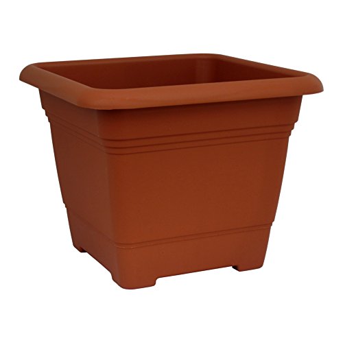 geli Thermo Plastic Pflanzkübel NORA quadratisch aus Kunststoff, Farbe:terracotta;Größe:58 x 58 cm von geli Thermo Plastic