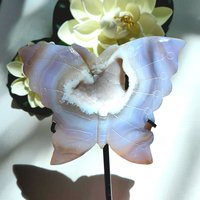Achat Schmetterling 18 cm Druzy Flügel Auf Ständer Kristall Geschenk Dekoration Achat Schmetterling 18 cm Druzy Flügel Auf Ständer Kristall Geschenk Dekoration von gemnicrystals