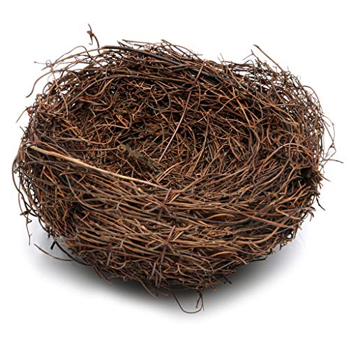 geneic Künstliches Mini-Wachtelei-Vogelnest, kreatives Oster-Dekor, 10 cm/15 cm geneic Künstliches Mini-Wachtelei-Vogelnest, kreatives Oster-Dekor, 10 cm/15 cm von geneic